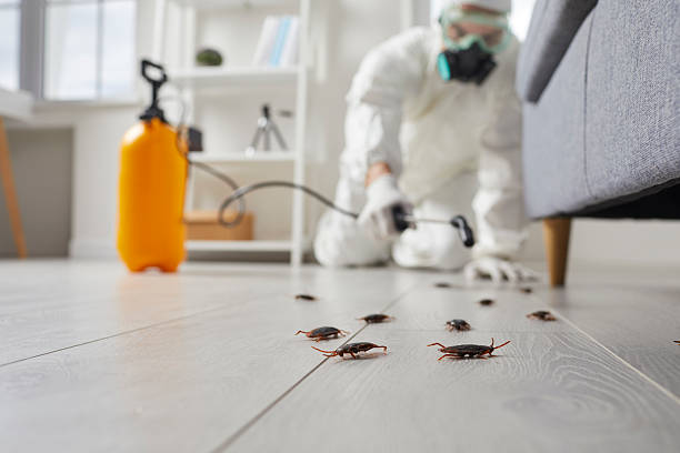 Commercial Kitchen Cockroach Control in Hamilton College
